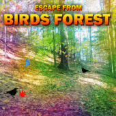 Escape From Birds Forest Apk