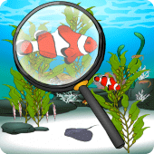 Hidden Fish Apk