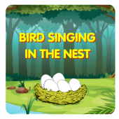 BIRD SINGING IN THE NEST Apk