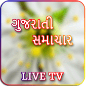 Gujarati Live TV & News Papers Apk