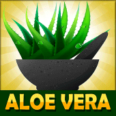 Aloe Vera Benefits! Apk