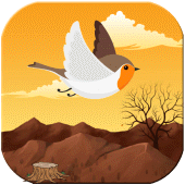 Lovely Bird Apk