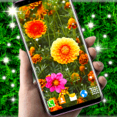 Autumn Flowers Live Wallpaper Apk