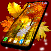 Autumn Leaves Live Wallpaper Apk