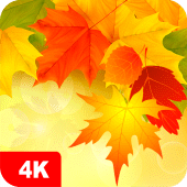 Autumn Wallpapers 4K Apk