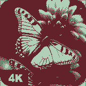 Butterfly Wallpapers 4K Apk