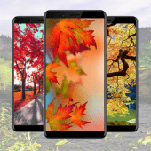 Autumn Wallpaper Ideas Apk