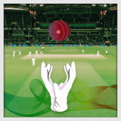 Cricket Catcher Apk