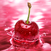 Cherry Live Wallpaper Apk