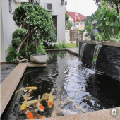 Fish Pond Design and Construction Apk