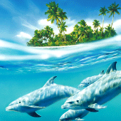 Dolphin Live Wallpaper Apk