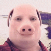 John Pork Is Calling... Apk