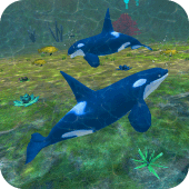 Orca Simulator Killer Whale Apk