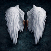 Angels Wallpapers Apk