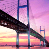 Bridge Wallpapers Apk