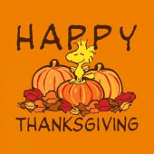 Thanksgiving Day Wallpapers Apk