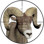 Sniper Hunting - 3D Shooter Apk