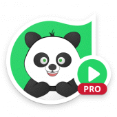 Special Animated Stickers Pro - WAStickerApps Apk