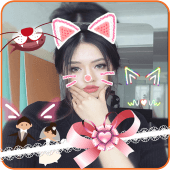 Cat Face Apk