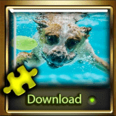 Cute dogs picture jigsaw puzzle game for Adults Apk