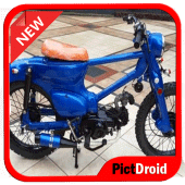 Street Cub and Choppy Cub Modification Apk