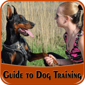 Dog Training Guide Apk