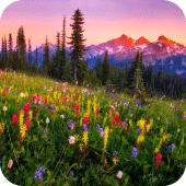 Mountain Flowers Apk