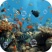 Aquarium Live Wallpaper Apk