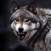 Wolf Wallpaper HD: Backgrounds Apk