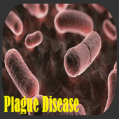 Plague Disease Apk