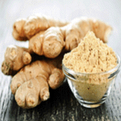 Benefits of Ginger Apk