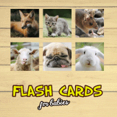 Flash Cards Apk