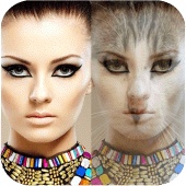 Animo Face Changer - GIF Maker Apk