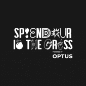 Splendour in the Grass Apk