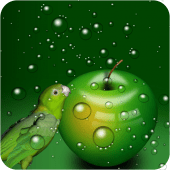 Green Wallpapers HD Apk