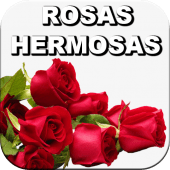 Rosas Muy Hermosas Delicadas y Naturales Gratis 1.0 APK -  com.appsgratis2018.rosasmuyhermosasdelicadasynaturalesgratis APK Download