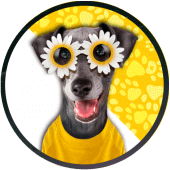 Dog Stickers For WhatsApp Apk