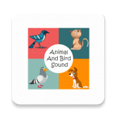 Animals and Birds Sound Apk