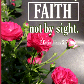 Inspirational Bible Verse Apk