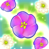 Match Flowerbed Apk