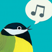 Birdie Memory Apk