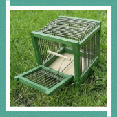 Bird Trap Design Ideas Apk