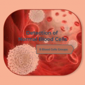 The Detection of Normal Blood Cells Apk