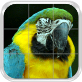 Birds Puzzle Game Apk