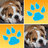 Dogs Memory Match Pairs Game Apk