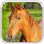 Sliding Tile Puzzle Game - Horses, mares and foals Apk