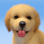 My Dog:Puppy Simulator Games Apk