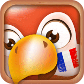 Learn French | Translator Apk