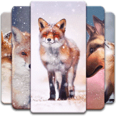 Fox Wallpaper Apk