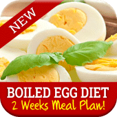 Best Boiled Egg Diet Plan Apk